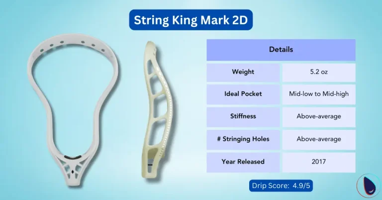 StringKing Mark 2D