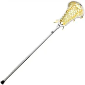 gaitWhip2